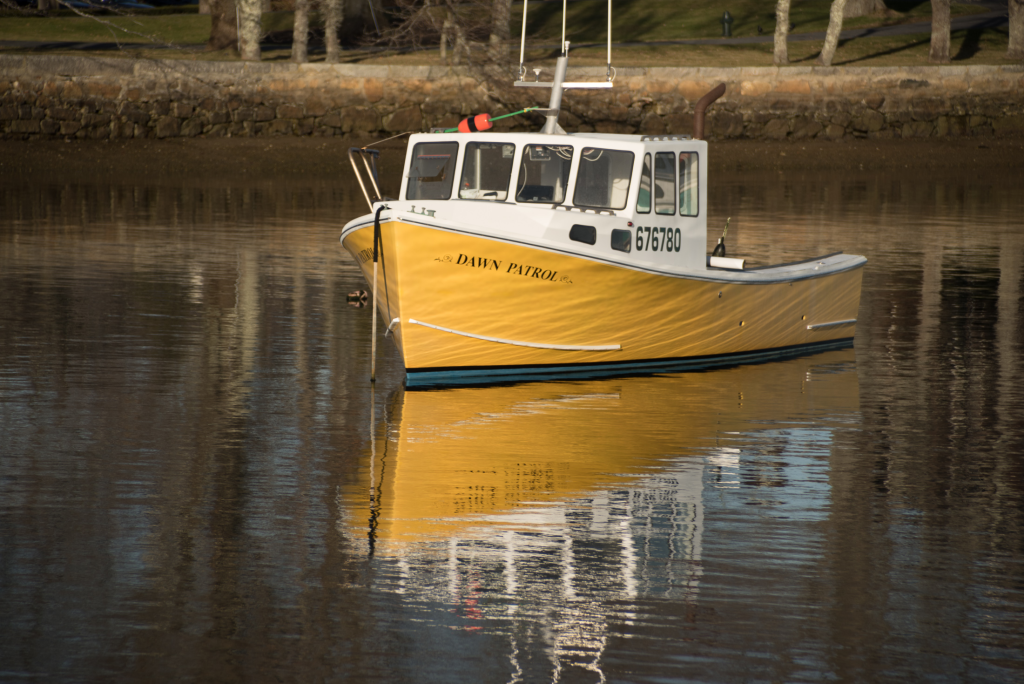 Cbp Seas CBP 25196016 X 40163 Of 3 1024x684